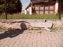 SAM_1060 SAM_1060
